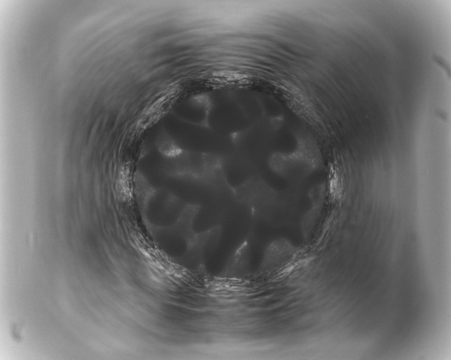 X0000100220819200806271725