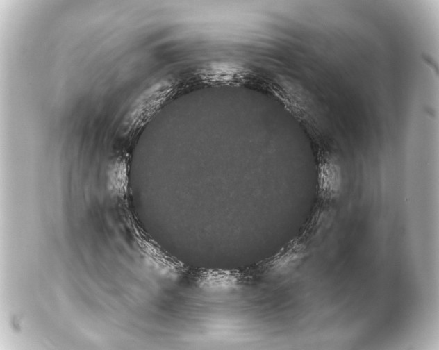 X0000100220820200806271725