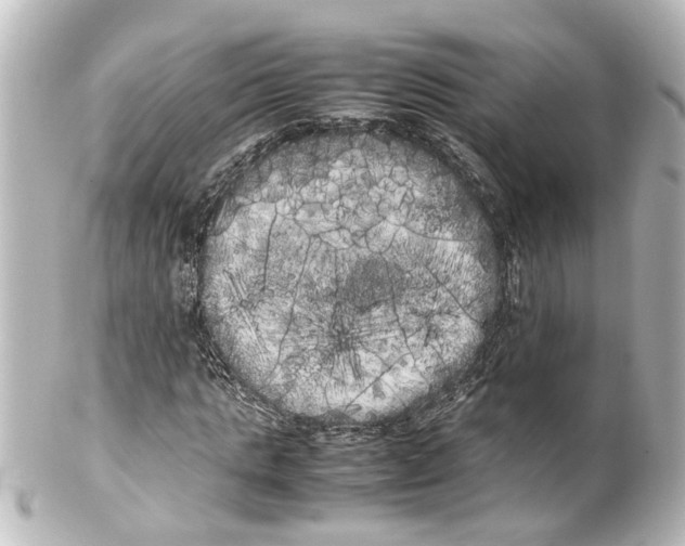 X0000100220821200806271725