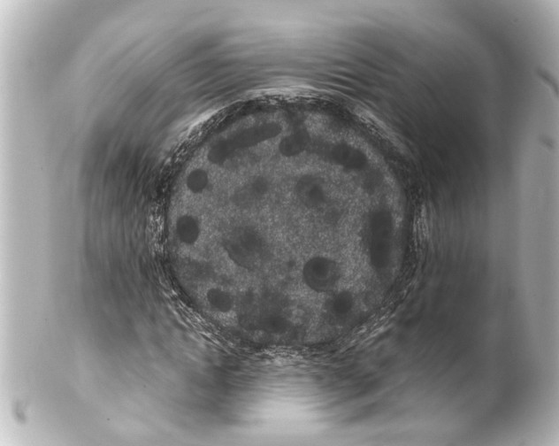 X0000100220822200806271725