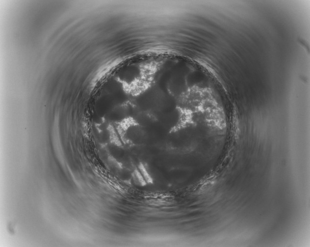 X0000100220823200806271725