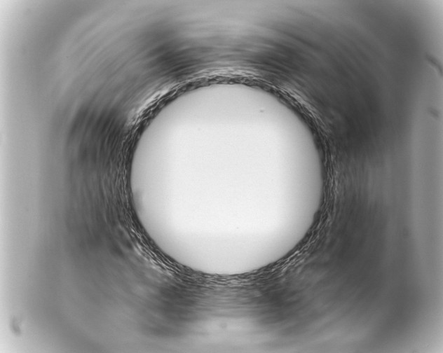 X0000100220824200806271725