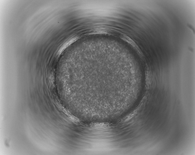 X0000100220826200806271725