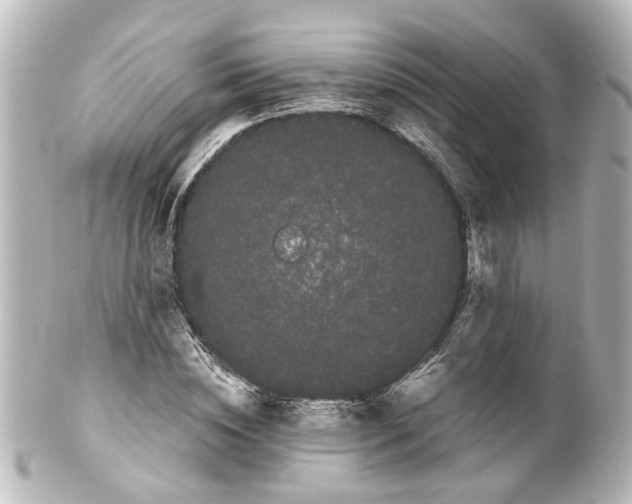 X0000100220828200806271725