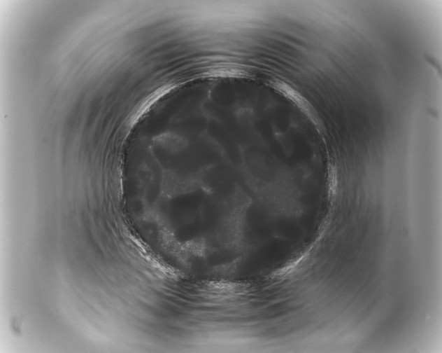 X0000100220829200806271725