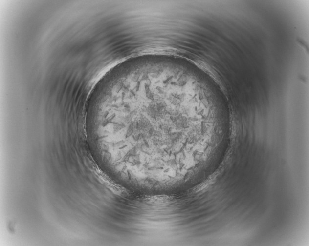 X0000100220830200806271725