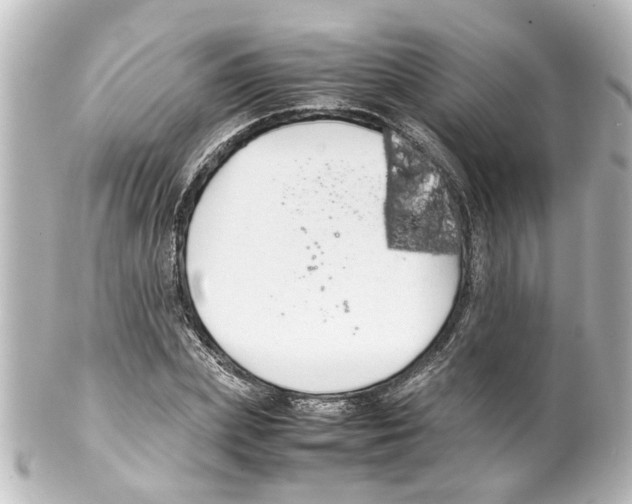 X0000100220831200806271725