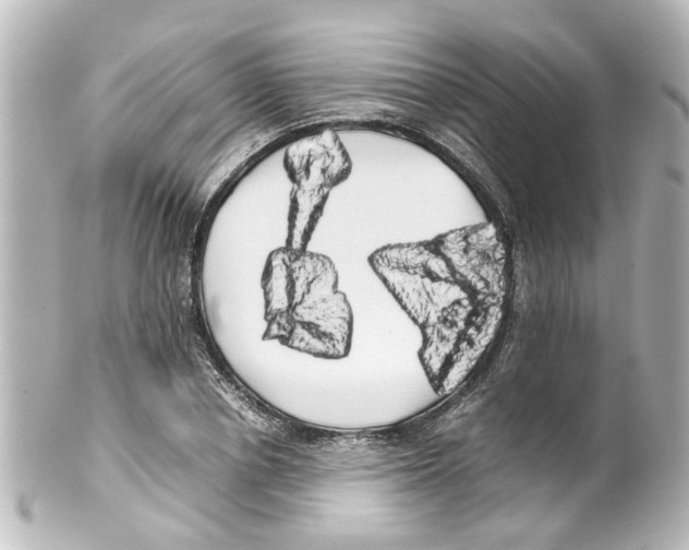 X0000100220834200806271725