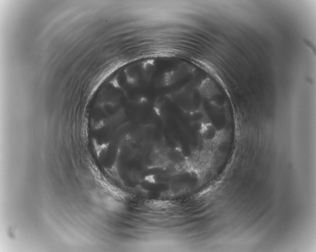 X0000100220835200806271725