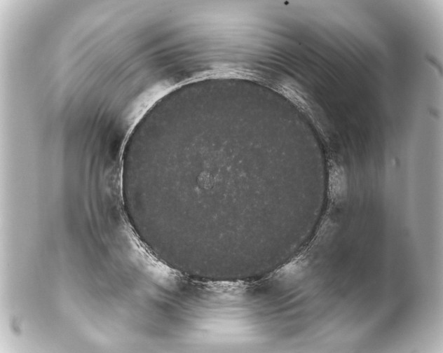 X0000100220836200806271725