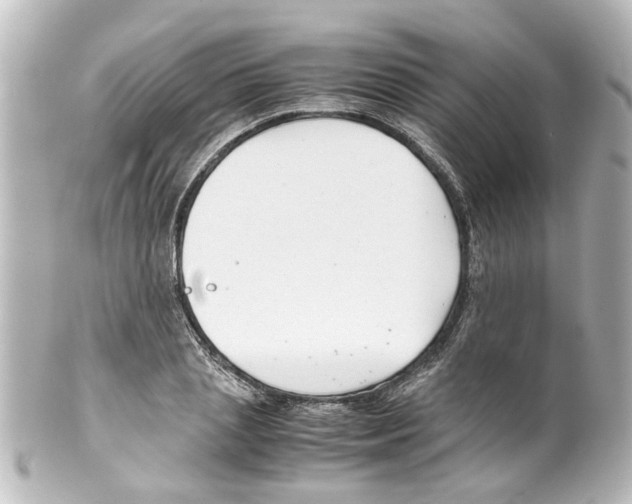 X0000100220837200806271725