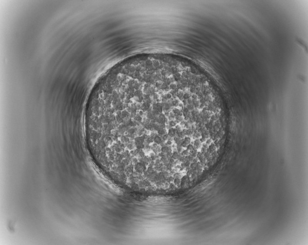 X0000100220840200806271725