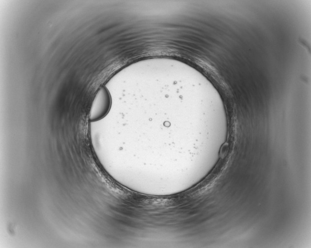 X0000100220841200806271725