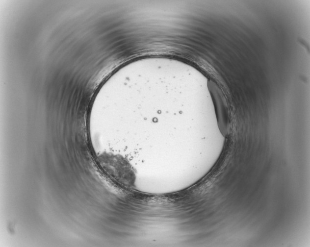 X0000100220842200806271725