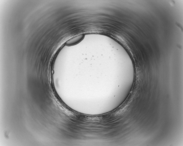 X0000100220843200806271725