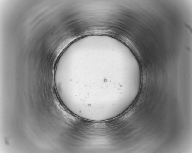 X0000100220844200806271725