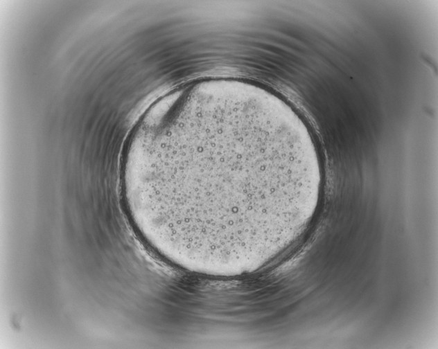 X0000100220845200806271725