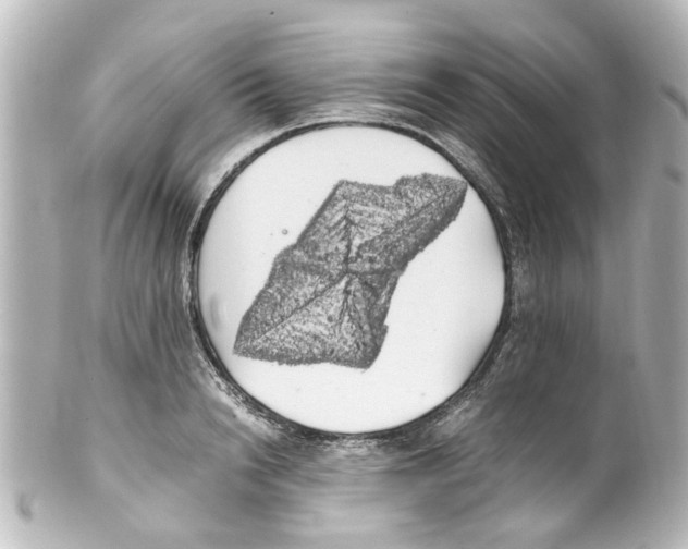 X0000100220846200806271725