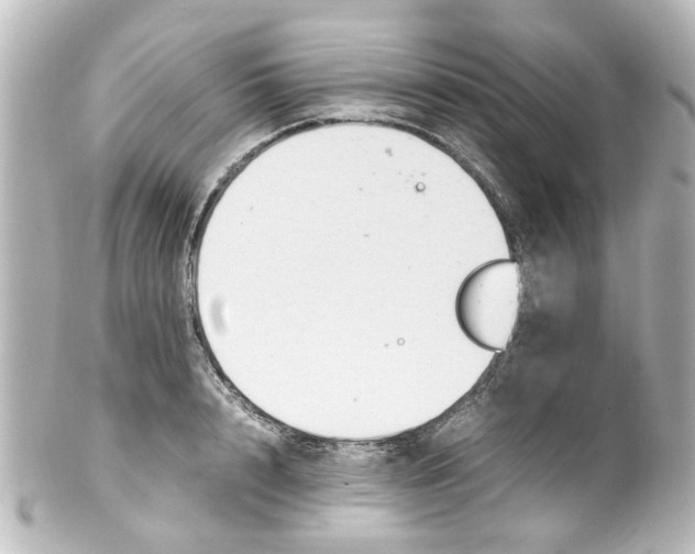 X0000100220848200806271725