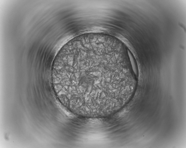 X0000100220850200806271725