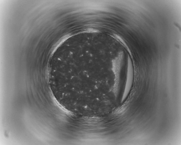 X0000100220851200806271725