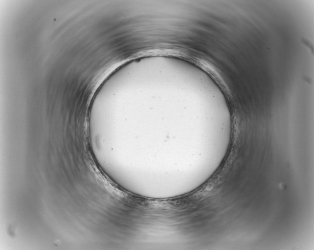 X0000100220852200806271725