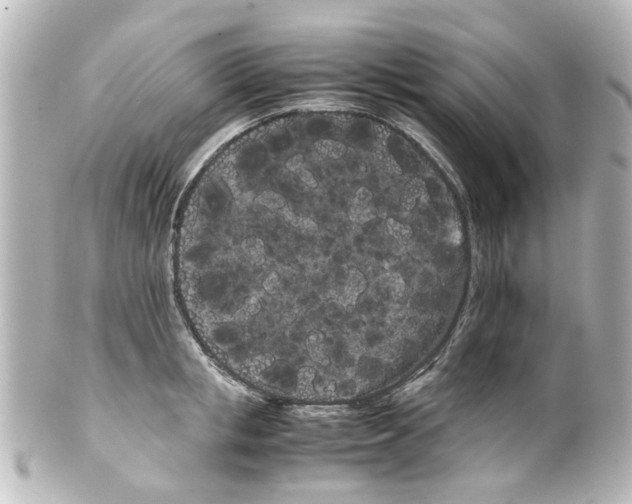 X0000100220853200806271725