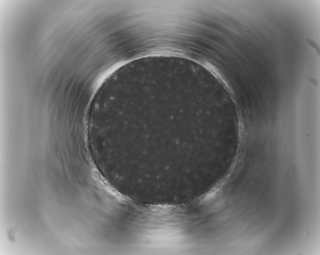 X0000100220854200806271725