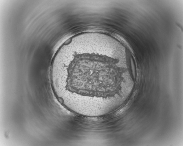 X0000100220855200806271725