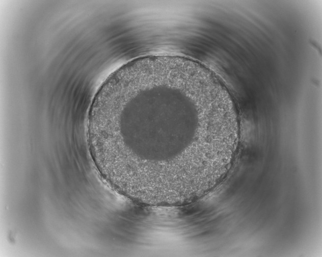 X0000100220856200806271725