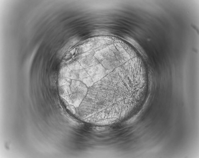 X0000100220857200806271725