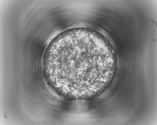 X0000100220858200806271726