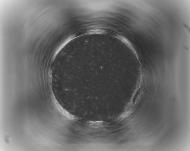 X0000100220859200806271726