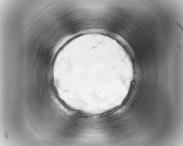 X0000100220860200806271726