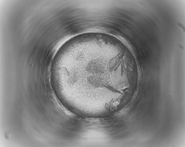 X0000100220862200806271726