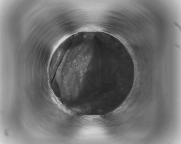 X0000100220864200806271726