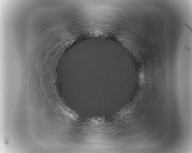 X0000100220865200806271725