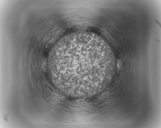 X0000100220867200806271725