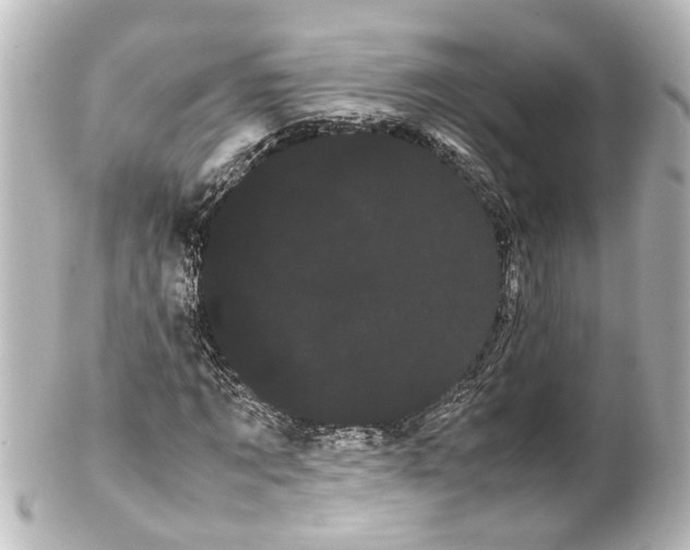 X0000100220869200806271725