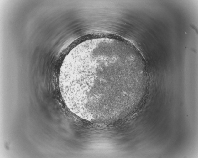 X0000100220871200806271725