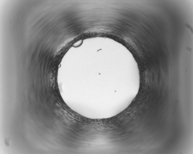 X0000100220872200806271725