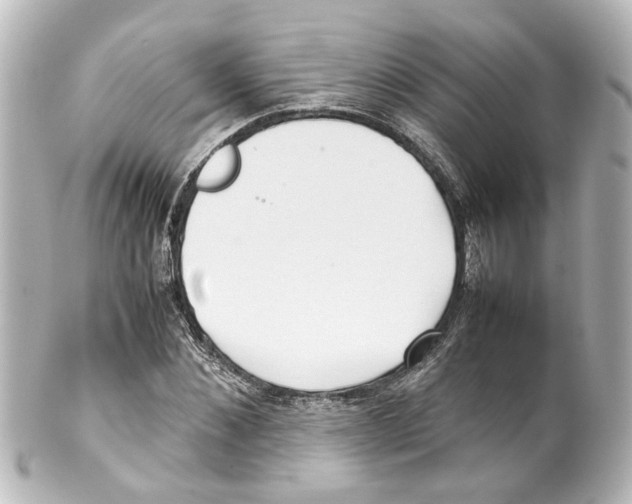 X0000100220876200806271725