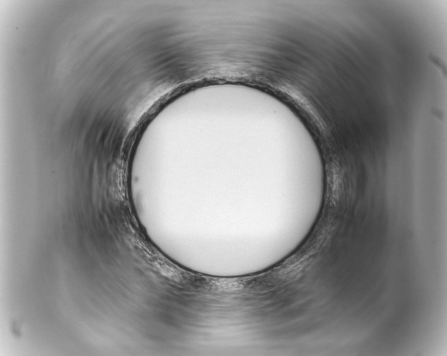 X0000100220878200806271725