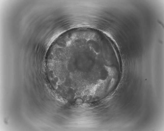 X0000100220879200806271725