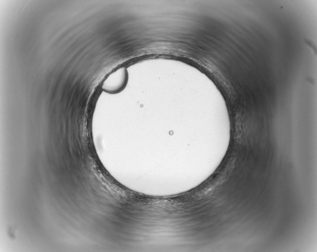 X0000100220880200806271725