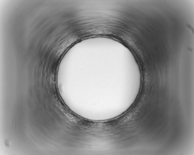 X0000100220881200806271725