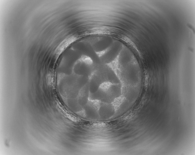 X0000100220882200806271724