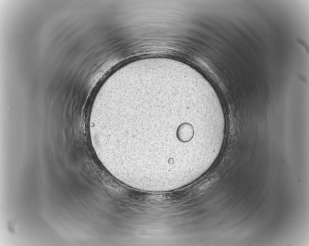 X0000100220883200806271724