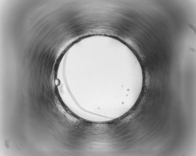 X0000100220888200806271724