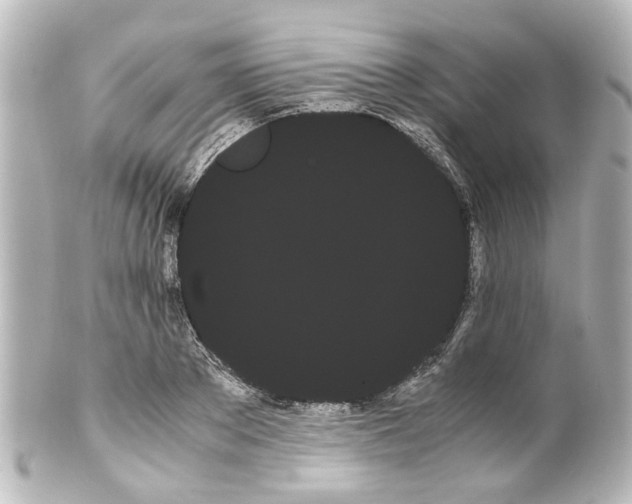 X0000100220889200806271724